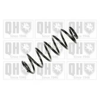 Ressort de suspension QUINTON HAZELL