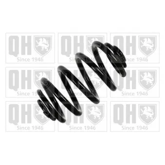 Ressort de suspension QUINTON HAZELL