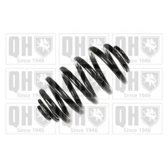 Ressort de suspension QUINTON HAZELL QCS7899