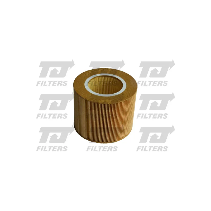 Filtre à air QUINTON HAZELL QFA0059
