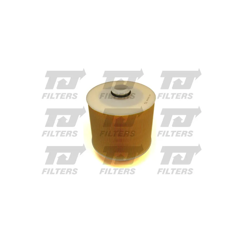 Filtre à air QUINTON HAZELL QFA0160