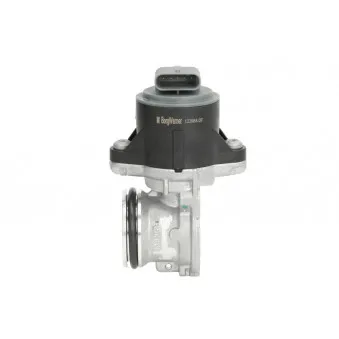 Vanne EGR WAHLER 710968D