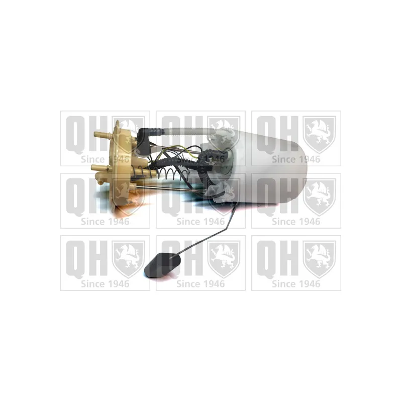 Unité d'injection de carburant QUINTON HAZELL QFP1011