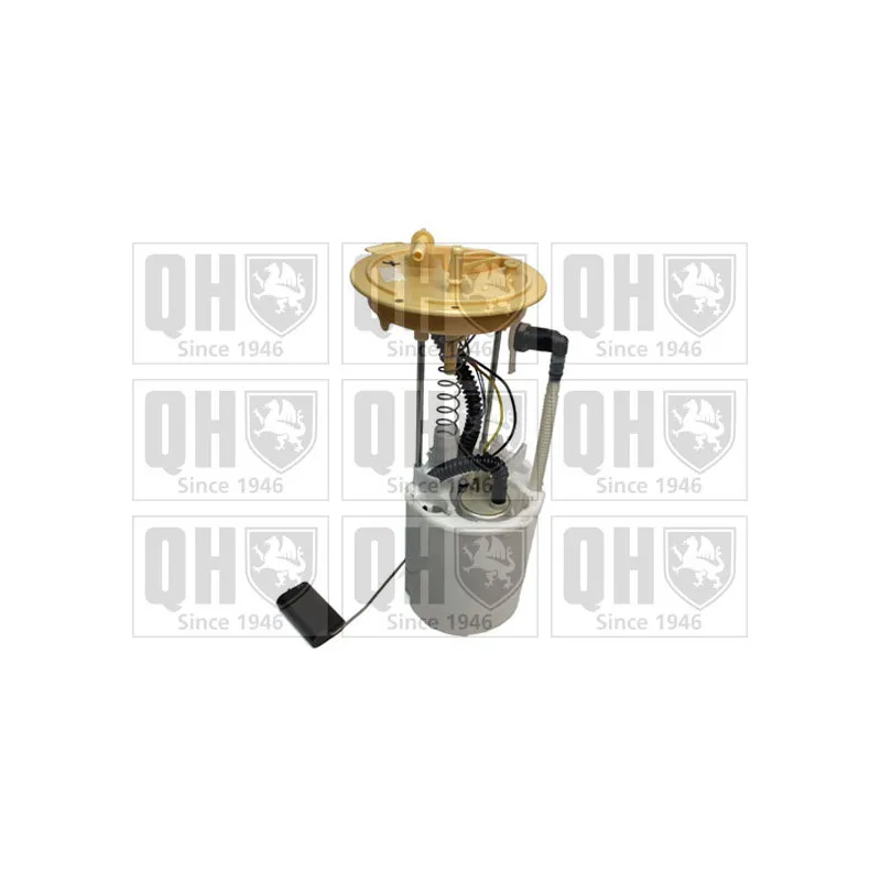 Unité d'injection de carburant QUINTON HAZELL QFP1012