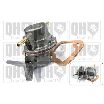 Pompe à carburant QUINTON HAZELL QFP102