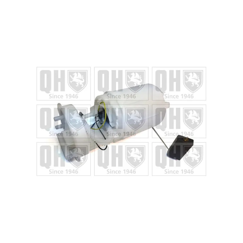 Unité d'injection de carburant QUINTON HAZELL QFP1028