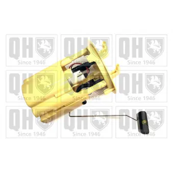 Pompe à carburant QUINTON HAZELL QFP1039