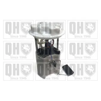 Pompe à carburant QUINTON HAZELL QFP1066