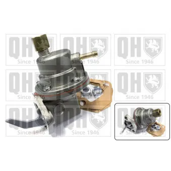 Pompe à carburant QUINTON HAZELL QFP107