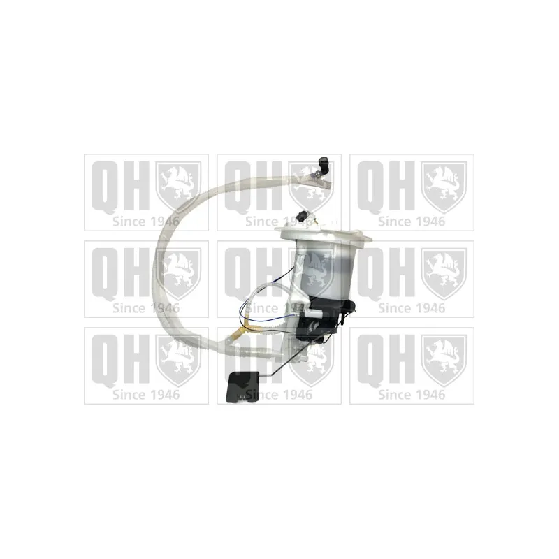 Unité d'injection de carburant QUINTON HAZELL QFP1078