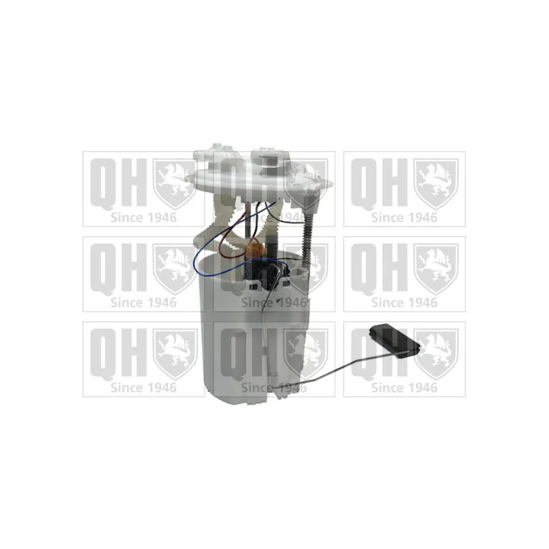 Unité d'injection de carburant QUINTON HAZELL QFP1079