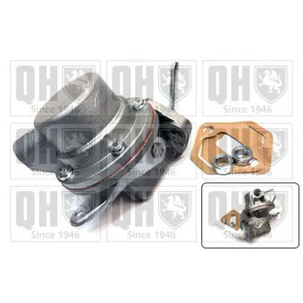 Pompe à carburant QUINTON HAZELL QFP118