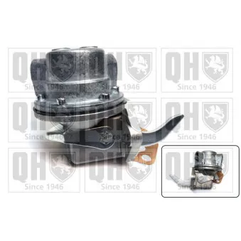 Pompe à carburant QUINTON HAZELL QFP135