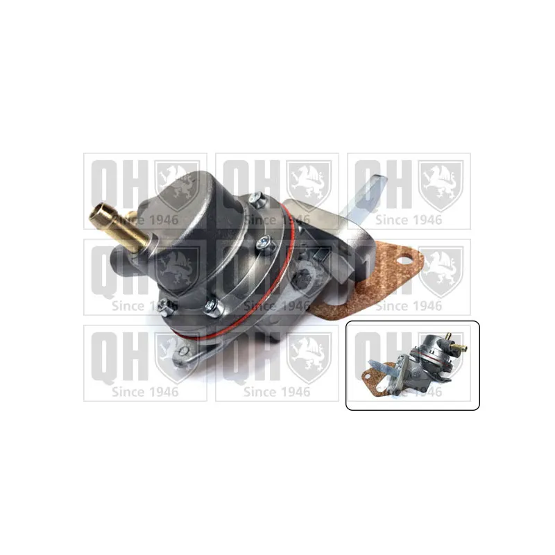 Pompe à carburant QUINTON HAZELL QFP165