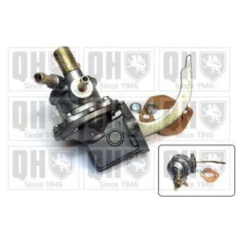 Pompe à carburant QUINTON HAZELL QFP199