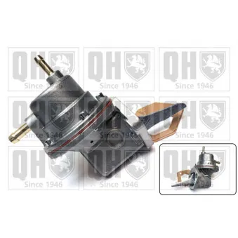 Pompe à carburant QUINTON HAZELL QFP239