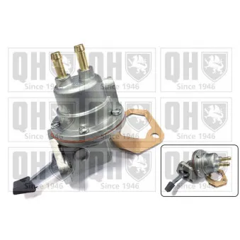 Pompe à carburant QUINTON HAZELL QFP240