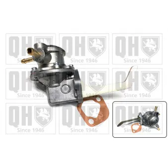 Pompe à carburant QUINTON HAZELL QFP256