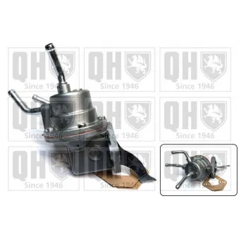 Pompe à carburant QUINTON HAZELL QFP294