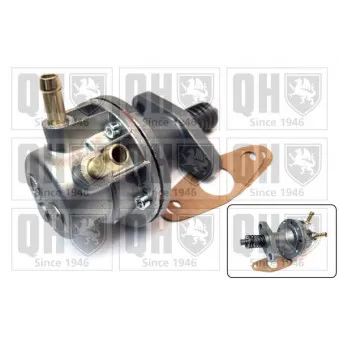 Pompe à carburant QUINTON HAZELL QFP298