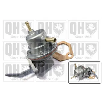 Pompe à carburant QUINTON HAZELL QFP43