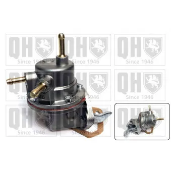 Pompe à carburant QUINTON HAZELL QFP48