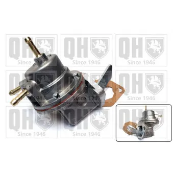 Pompe à carburant QUINTON HAZELL QFP52