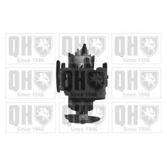 Pompe à carburant QUINTON HAZELL QFP619
