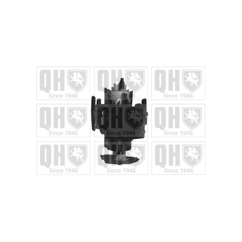 Pompe à carburant QUINTON HAZELL QFP619