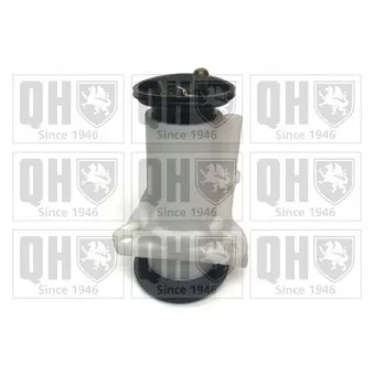 Pompe à carburant QUINTON HAZELL QFP622