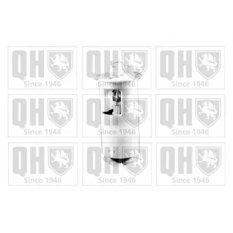 Unité d'injection de carburant QUINTON HAZELL QFP626