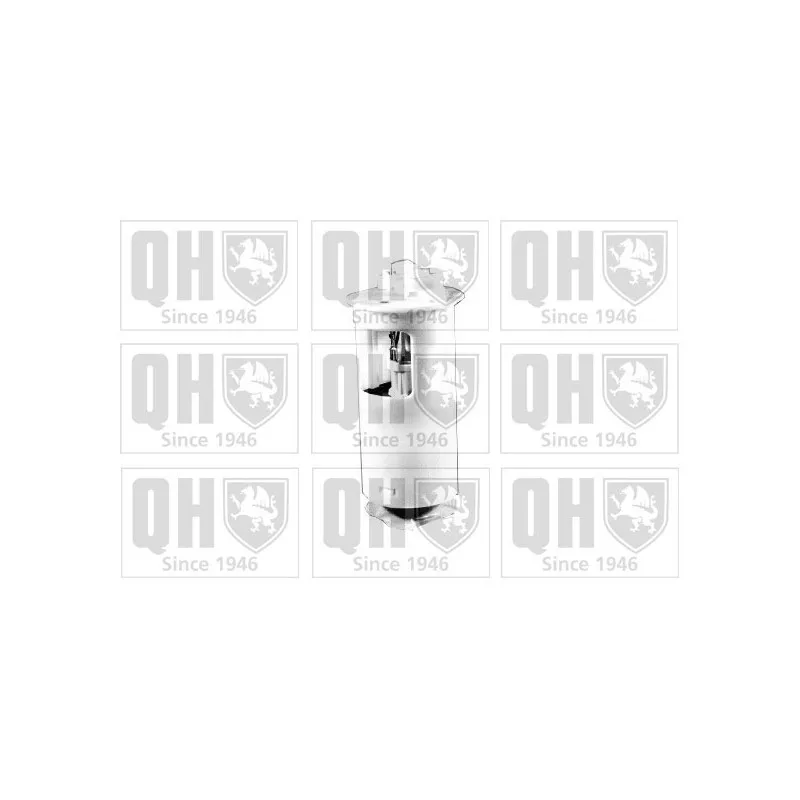 Unité d'injection de carburant QUINTON HAZELL QFP626