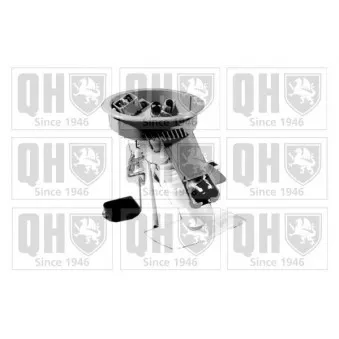Unité d'injection de carburant QUINTON HAZELL QFP679