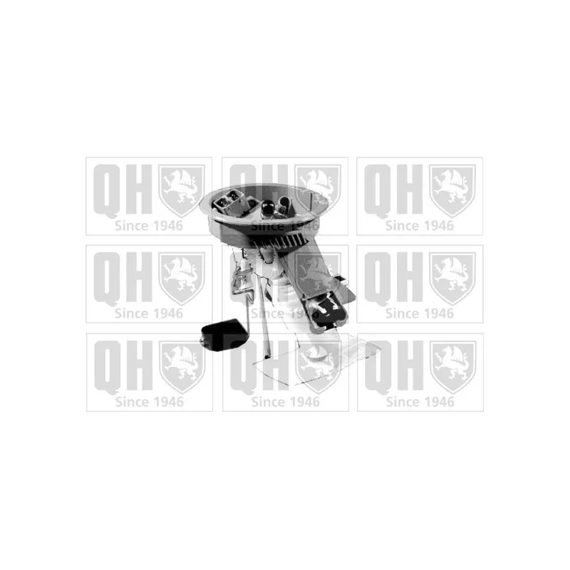 Unité d'injection de carburant QUINTON HAZELL QFP679