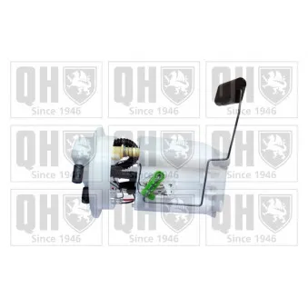 Unité d'injection de carburant QUINTON HAZELL QFP682