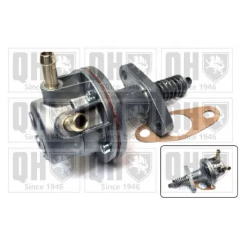 Pompe à carburant QUINTON HAZELL QFP69