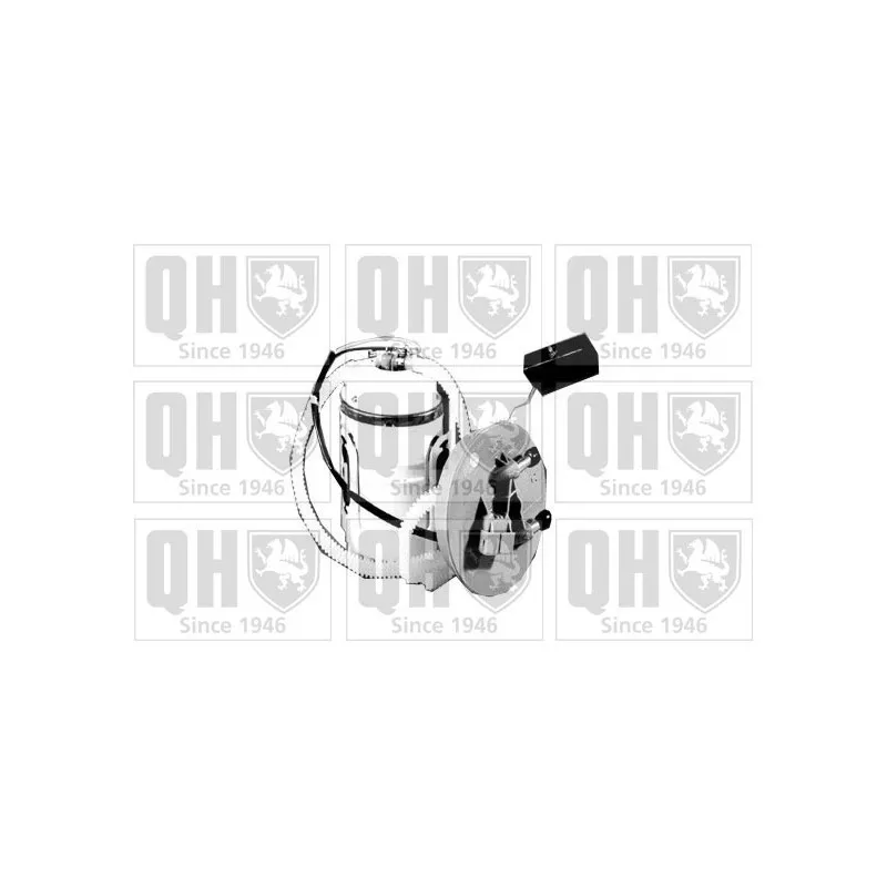 Unité d'injection de carburant QUINTON HAZELL QFP693