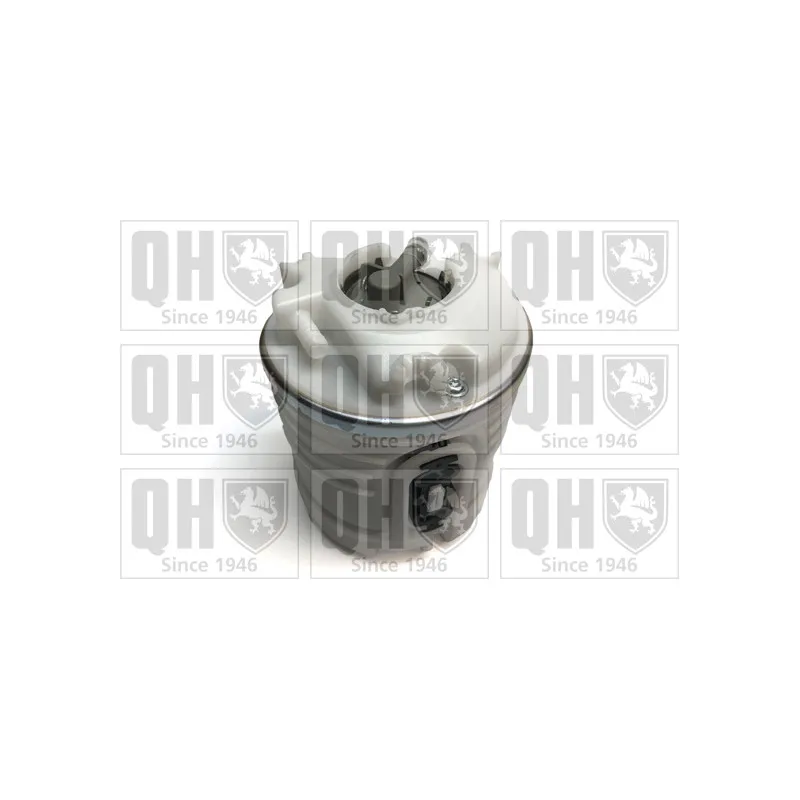 Pot de stabilisation, pompe à carburant QUINTON HAZELL QFP694