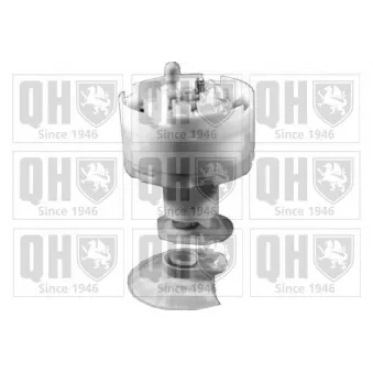 Unité d'injection de carburant QUINTON HAZELL QFP695