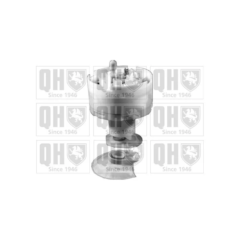Unité d'injection de carburant QUINTON HAZELL QFP695