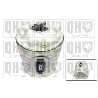 Pot de stabilisation, pompe à carburant QUINTON HAZELL QFP699