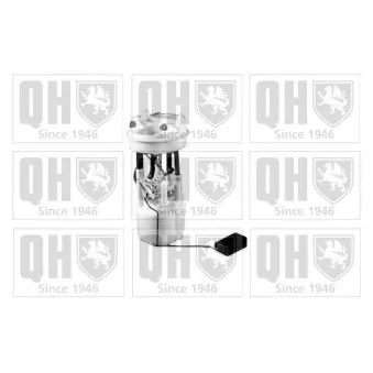 Unité d'injection de carburant QUINTON HAZELL QFP714
