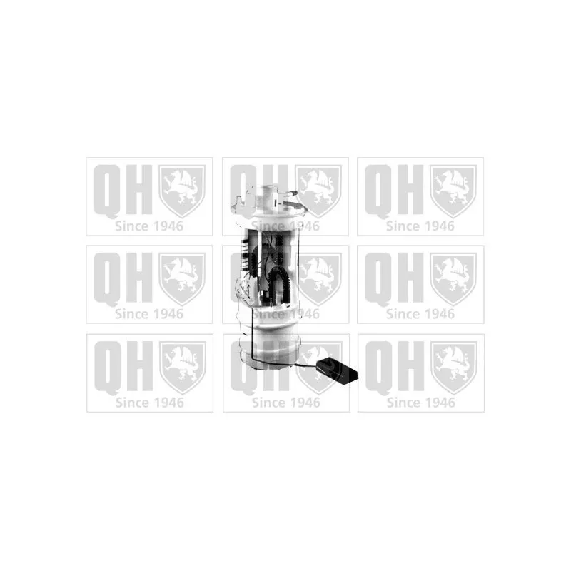 Unité d'injection de carburant QUINTON HAZELL QFP720