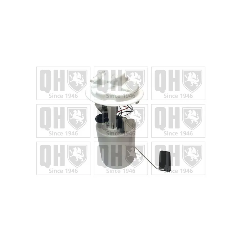 Unité d'injection de carburant QUINTON HAZELL QFP724