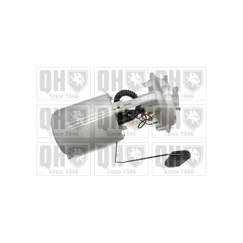 Unité d'injection de carburant QUINTON HAZELL QFP725
