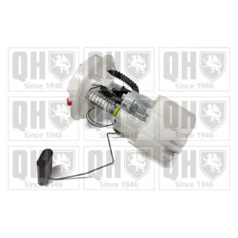 Unité d'injection de carburant QUINTON HAZELL QFP731