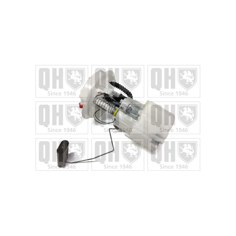 Unité d'injection de carburant QUINTON HAZELL QFP731
