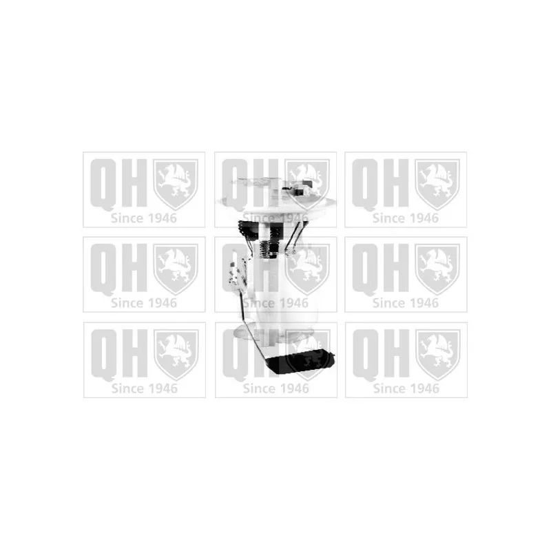 Unité d'injection de carburant QUINTON HAZELL QFP732