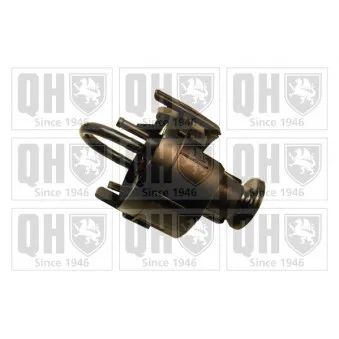 Unité d'injection de carburant QUINTON HAZELL QFP743