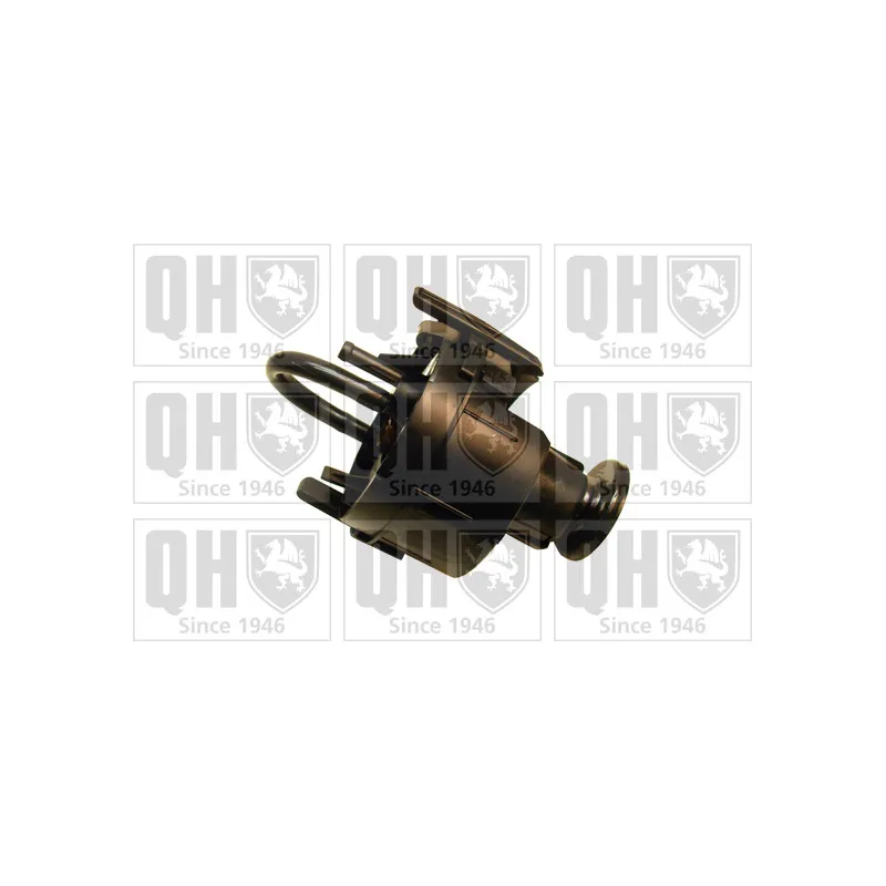 Unité d'injection de carburant QUINTON HAZELL QFP743